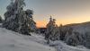 Regalo de Reyes en la sierra de Guadarrama