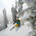 Ski Utah: Alta, Brigthon, Snowbird y Solitude