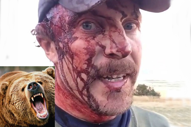 Atacado por un oso Grizzly en Montana y vive para contarlo... en Facebook